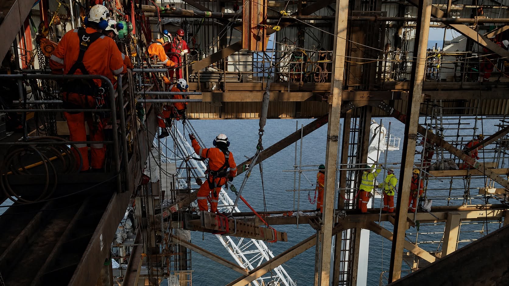 Professional Inspections & Solutions
